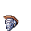 Striped Shark Trophy
