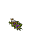 Wall Flowers