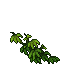 Wall Leaves