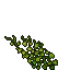 Tendrils