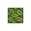 Verdant Carpet