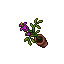 Bellflower