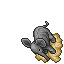 Baby Elephant