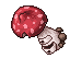 Shroom Cupboard
