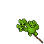 Hydra Balloon