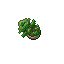 Zaoan Bonsai