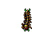 Centipede