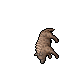 Hyaena