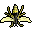 Wasp